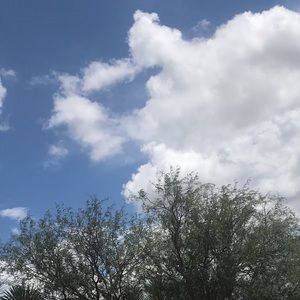 Meet your Posher, Sherlin